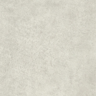 Moisture Proof White Wood Grain Vinyl Woodgrain Plastic Laminates