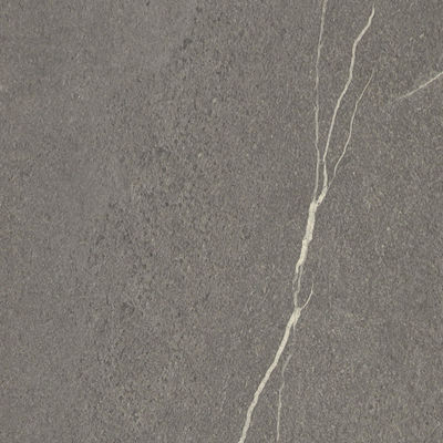 Moisture Proof White Wood Grain Vinyl Woodgrain Plastic Laminates